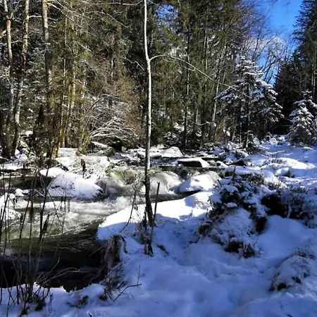 With Panoramic View Waldkirchen
